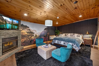 Sleeper Sofa Room 1
